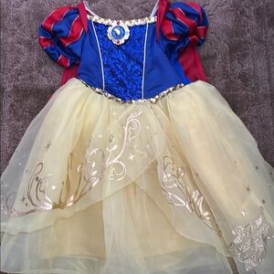 Theater Princess Costume Blue and Yellow Velvet Bodice